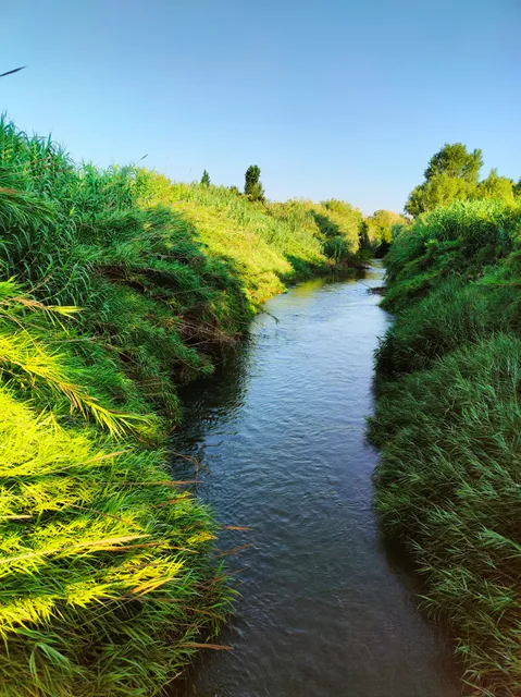 Río Túria fluvial park