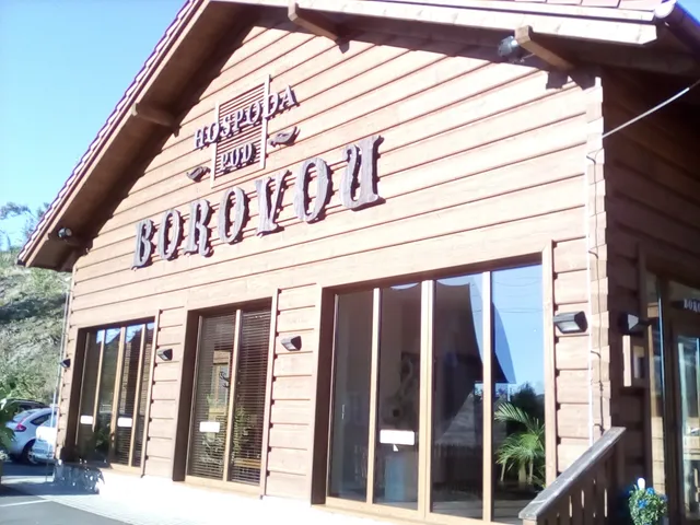 Hospoda pod Borovou