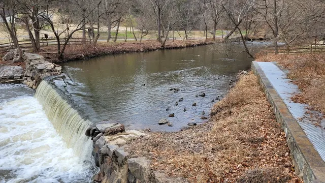 Picnic Grove #2 South