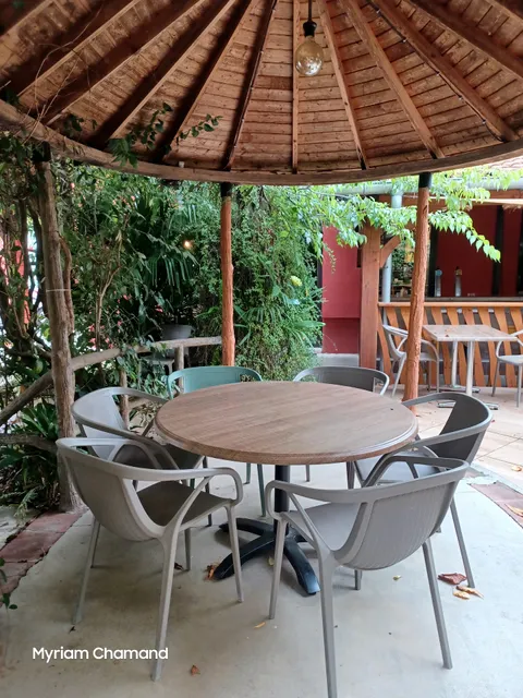 The Jungle - Marssac