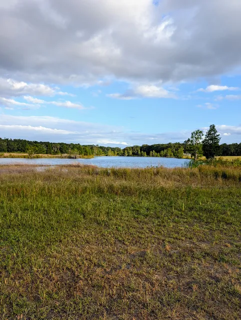 State Farmers Market