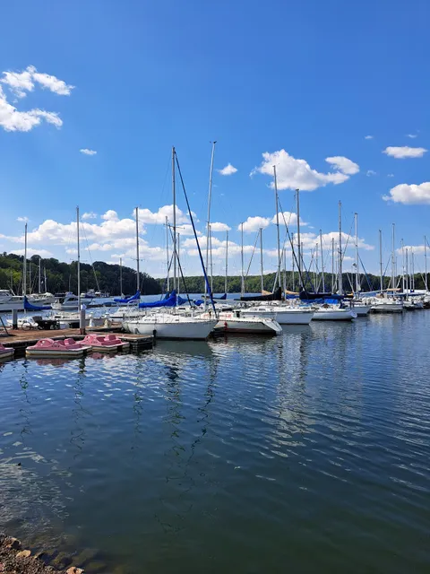 Joe Wheeler State Park Marina