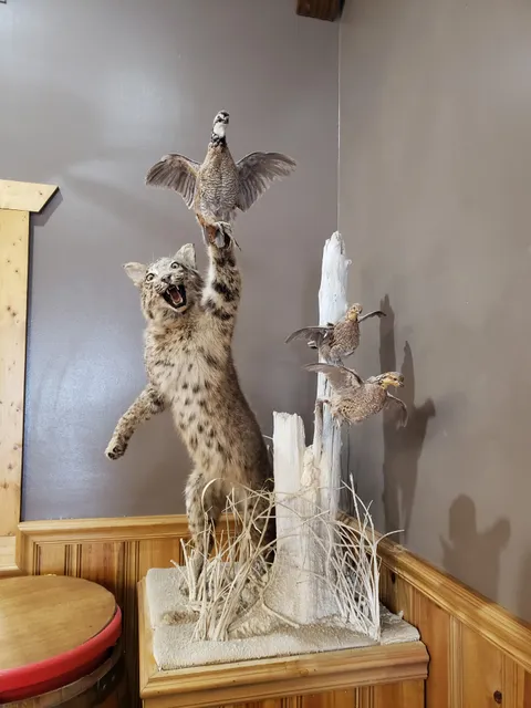 Eureka Livestock Sales