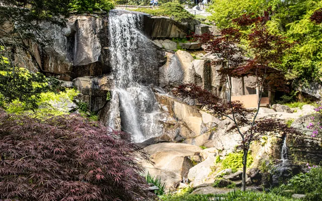Maymont Japanese Garden