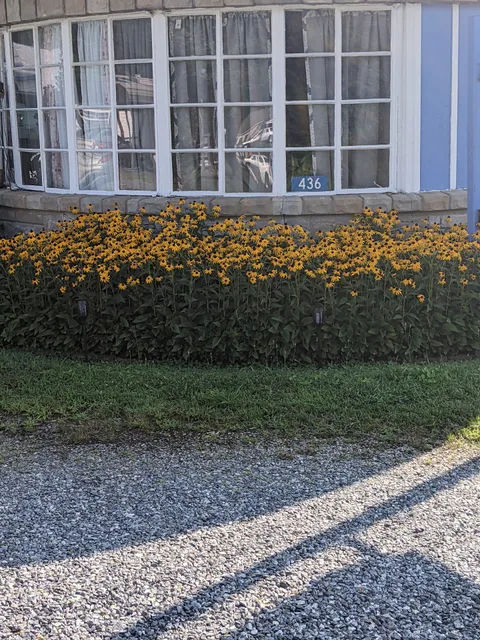 Northumberland Nest Motel