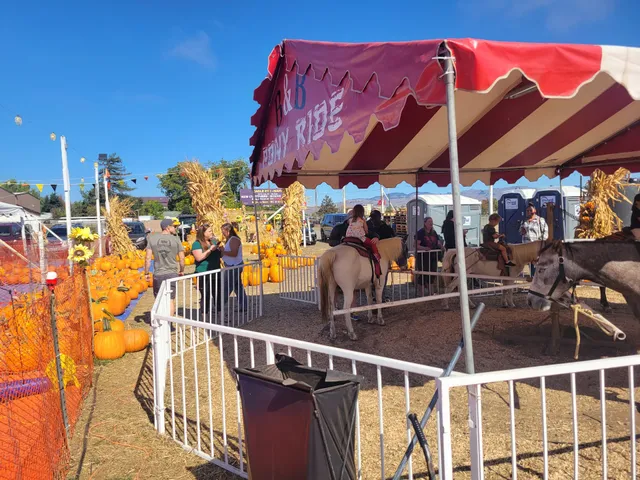 ABC Tree Farms & Pick of the Patch Pumpkins