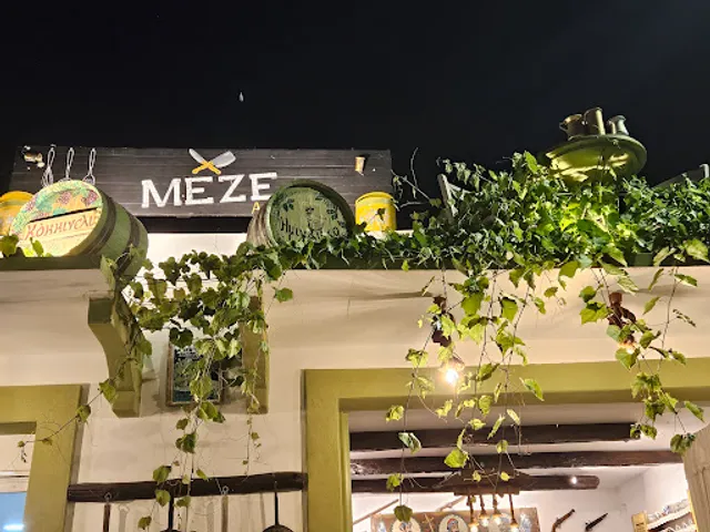 Meze Academy