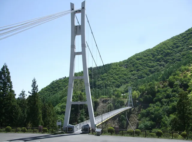 Mahoba's Forest Auto Camping Ground