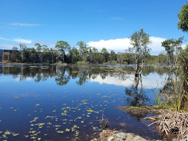 Sandy Camp Road Wetlands Reserve