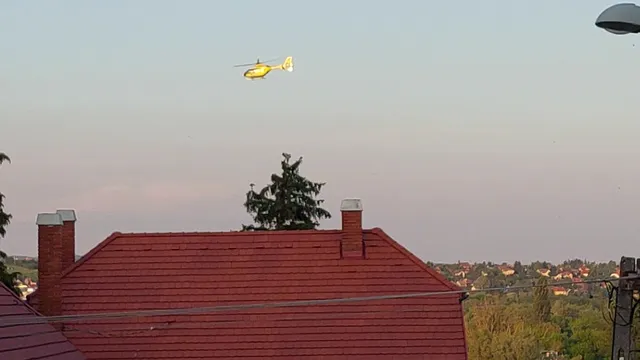 Friends Villa Apartments