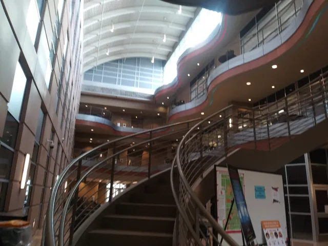 Sanford School of Medicine