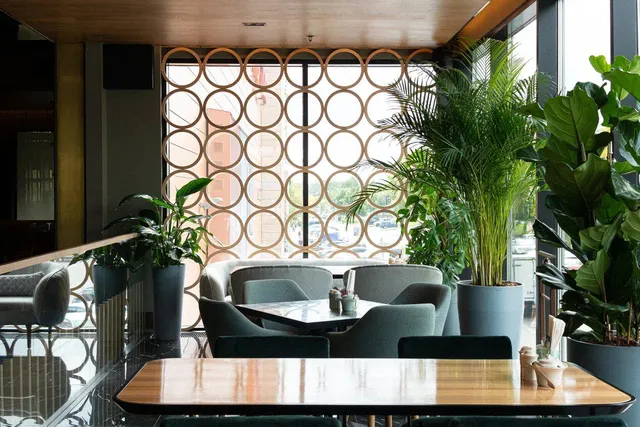 Vasilchuki Chaihona № 1