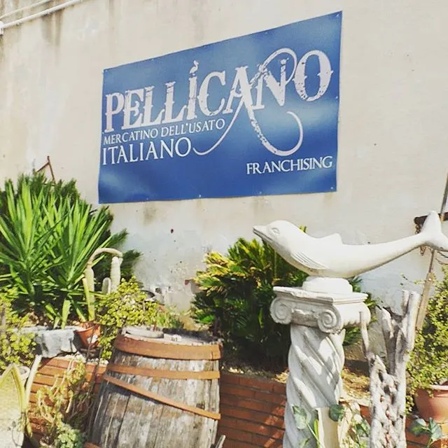 Mercatino dell'usato Italiano - Il Pellicano - Di Michelangelo Uccellatore