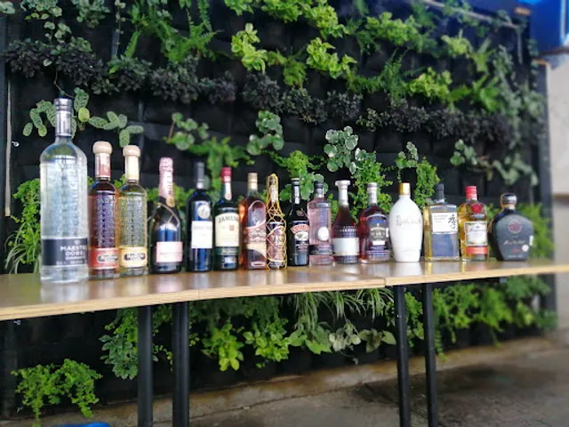 Foro Multicultural los MV