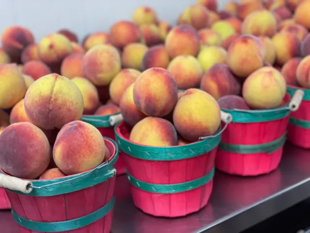 McLeod Farms at Pee Dee Farmers Market