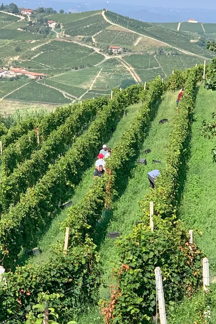 Cascina Bricchetto Langhe