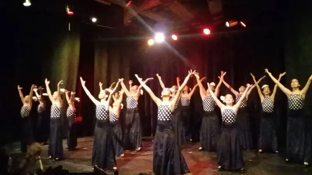 Danzas Auyantepui C.A.