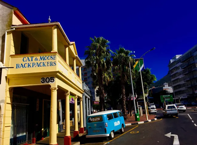 Cat and Moose Backpackers