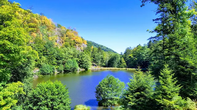 Parc naturel régional des Ballons des Vosges