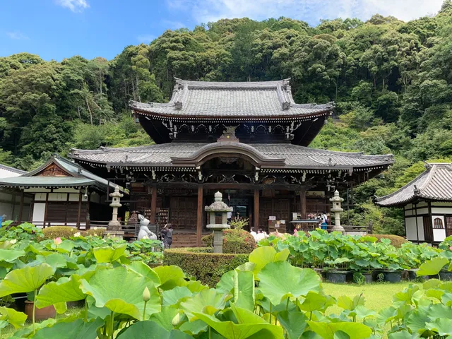 Mimuroto-ji Temple