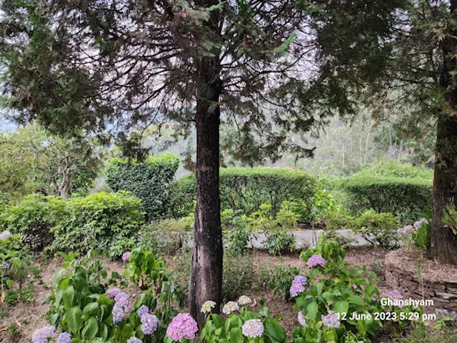 Silver Oak Restaurant at Club Mahindra Resort Binsar Villa