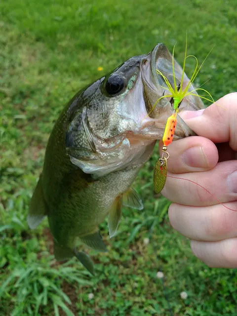 Red River Fish & Game Club