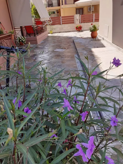 Nini's House 1 & Nini's Houses