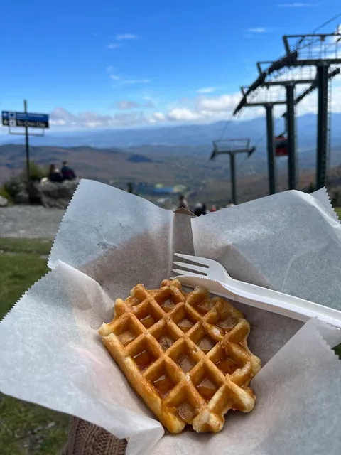 Waffle Cabin