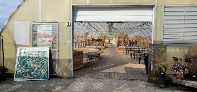 Borzynski's Farm & Floral Market