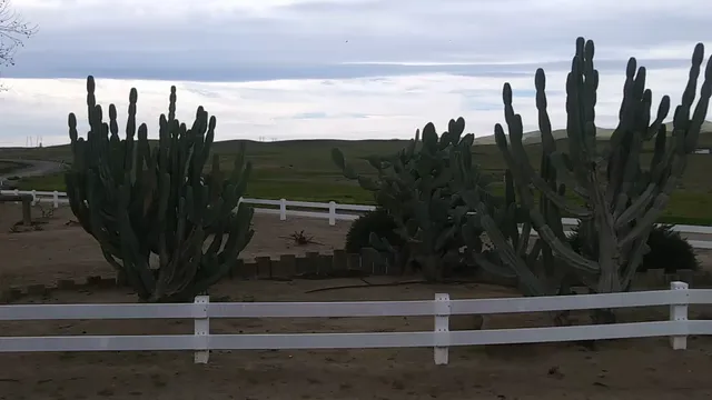 Harris Farms Horse Division