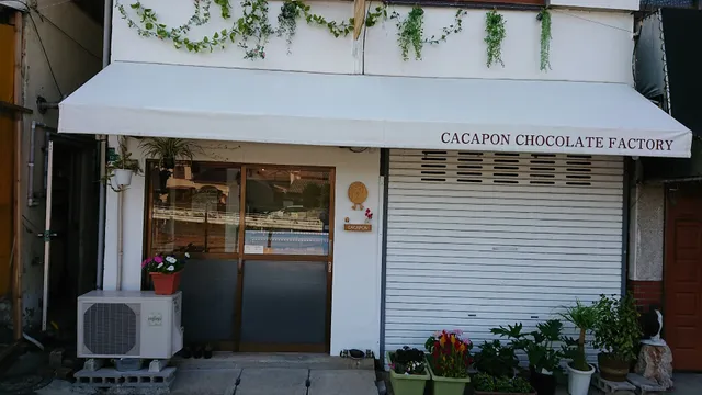 Cacapon