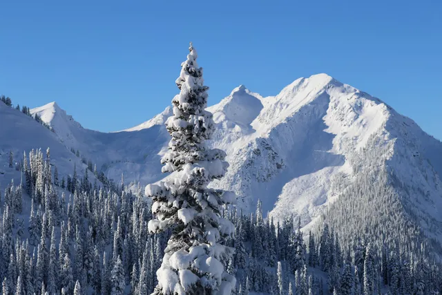 Selkirk Mountain Experience