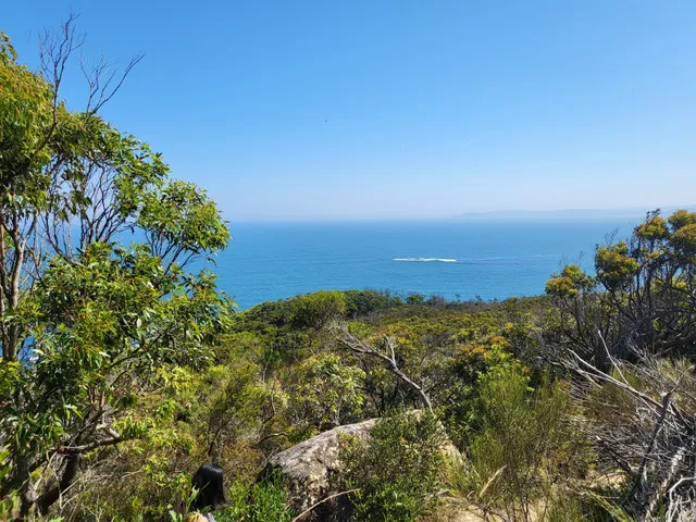 Mount Bouddi (Dingeldei) picnic area