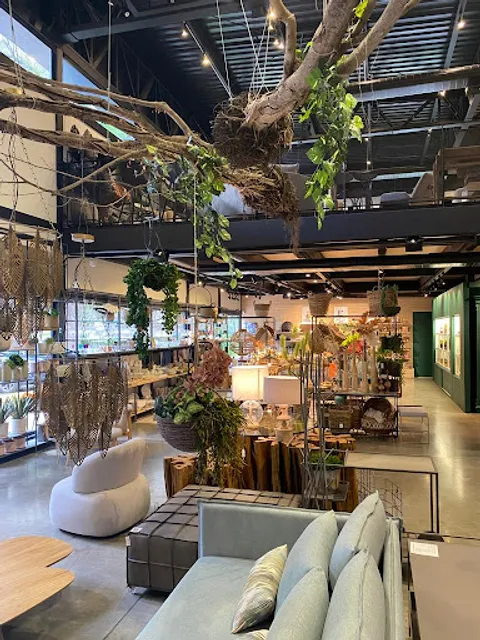 OH BRÜDER CAFÉ | BELA VISTA