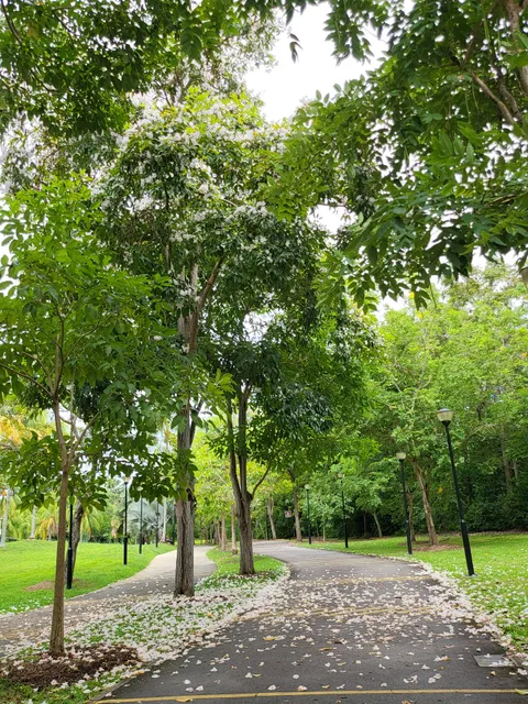 Bedok Town Park Dog Run