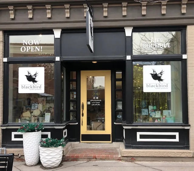 blackbird by dear prudence