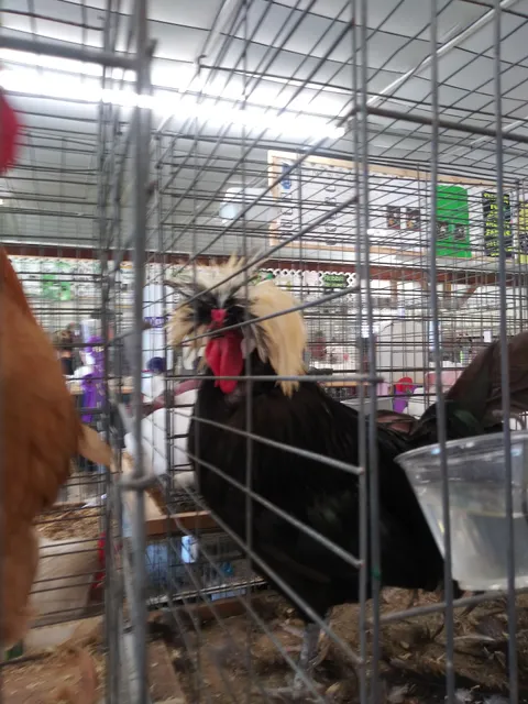 Field Fresh Farmers Market