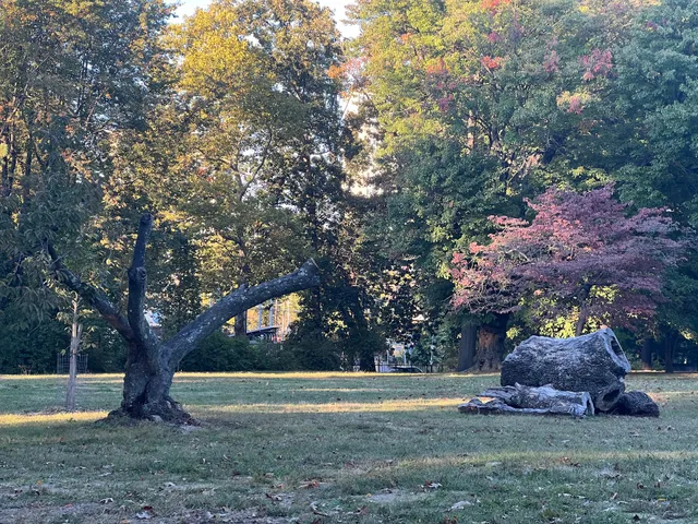 The Woodlands Community Garden