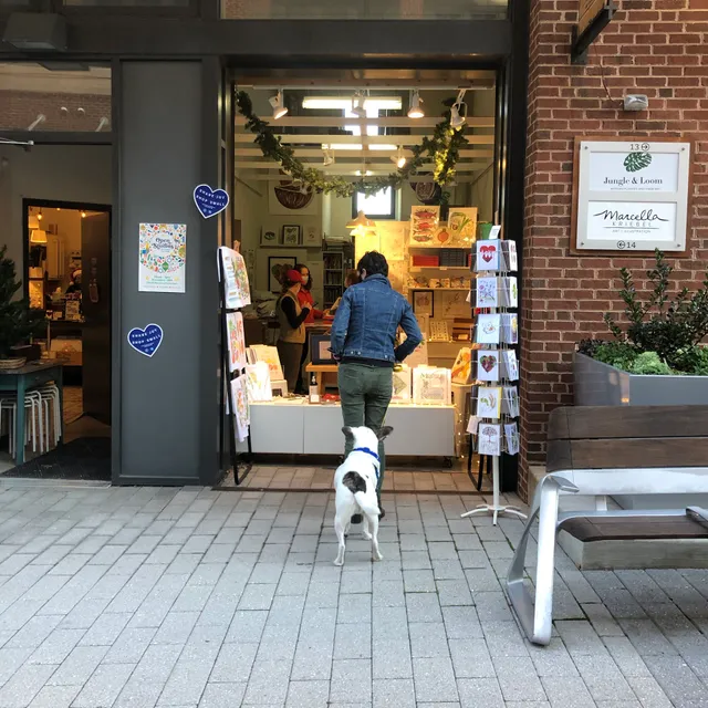 Marcella Kriebel Art + Illustration