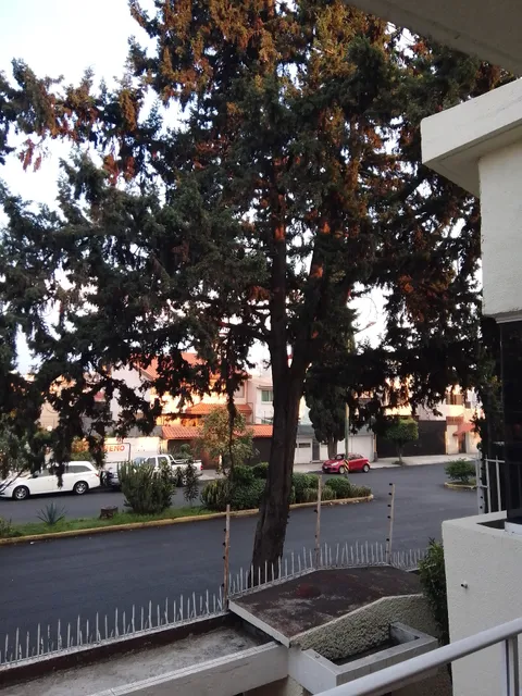 HOSPEDAJE RESIDENCE JARDINES CDMX