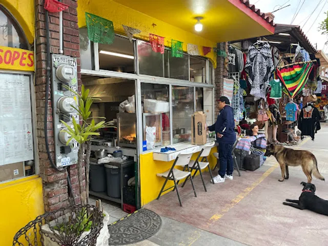 Carnitas La Flor de Michoacan