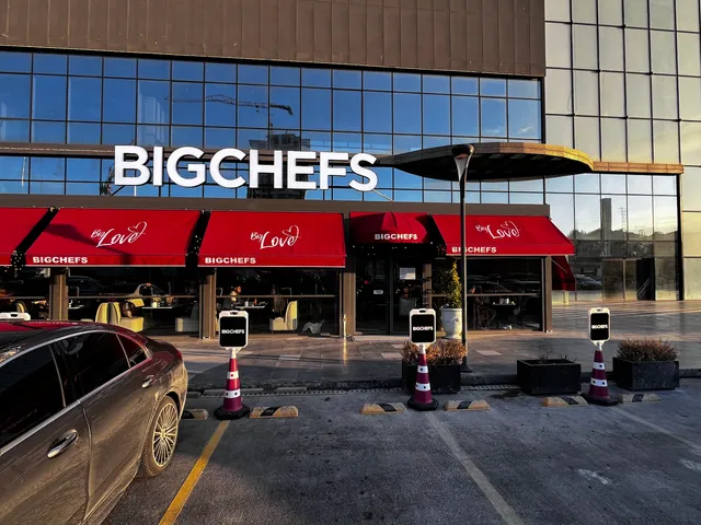 BigChefs Elya Center AVM