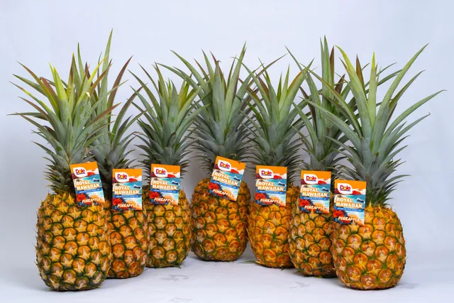 Dole Pineapple Farm Tour and Store