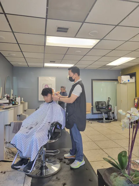 International Hair Salon