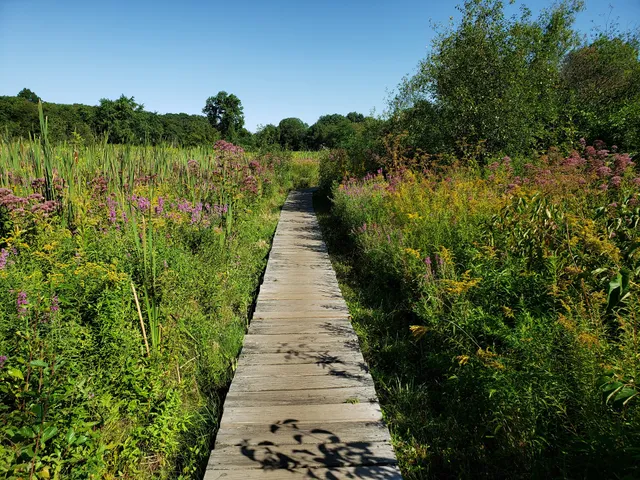 Rock Meadow Conservation Area