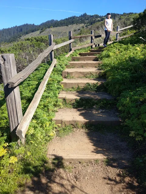 Dipsea Trail Head