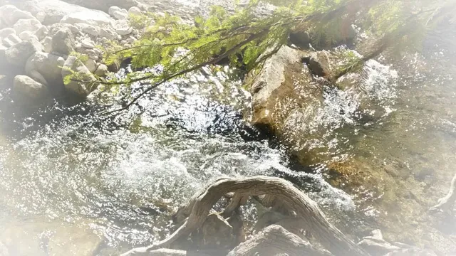 Concan River Lodging