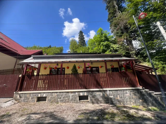 Casa de Vacanta Razvan si Andrei