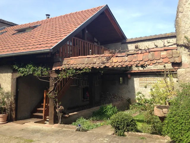 Le Nid de Cigognes Kintzheim proche Europapark Rust