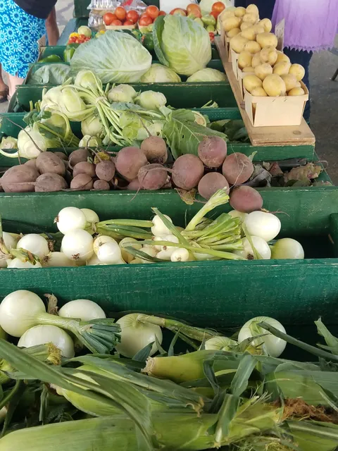 Saturday Hartford Farmer's Market